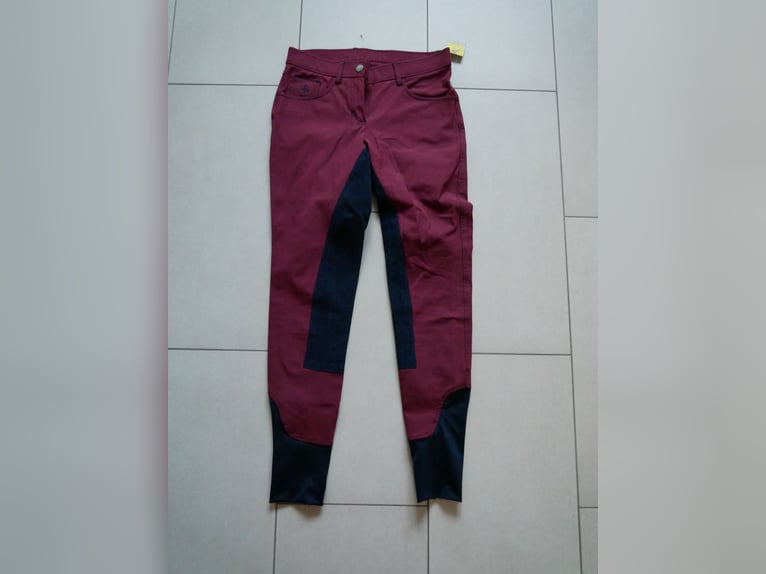 Felix Bühler~Damen Vollbesatz Reithose + Stirnband~brombeer/marine~Gr. 76~Neu~