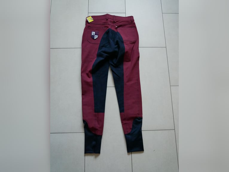 Felix Bühler~Damen Vollbesatz Reithose + Stirnband~brombeer/marine~Gr. 76~Neu~