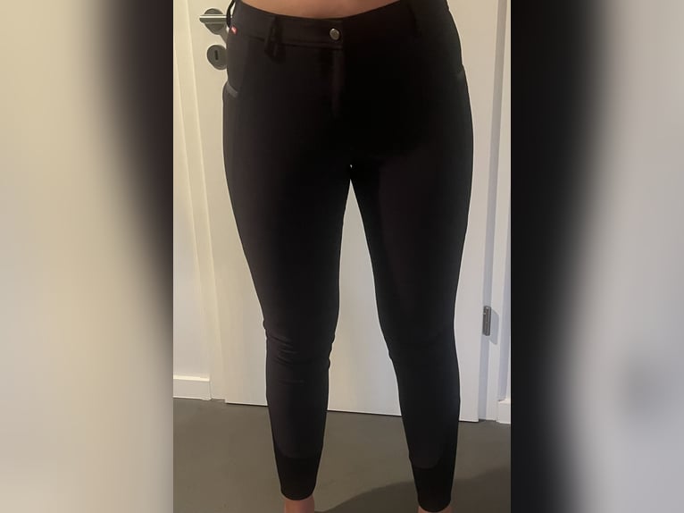 Goldhorse Reitleggins Navy (Größe 42) 