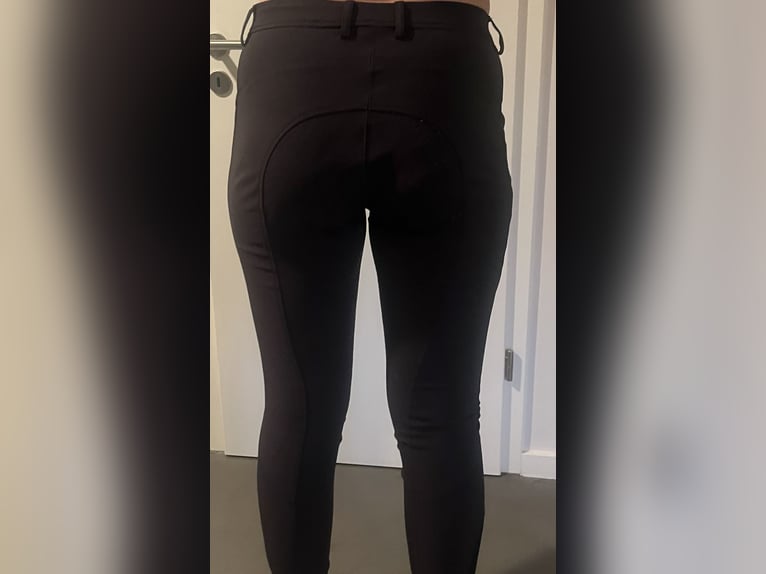 Goldhorse Reitleggins Navy (Größe 42) 