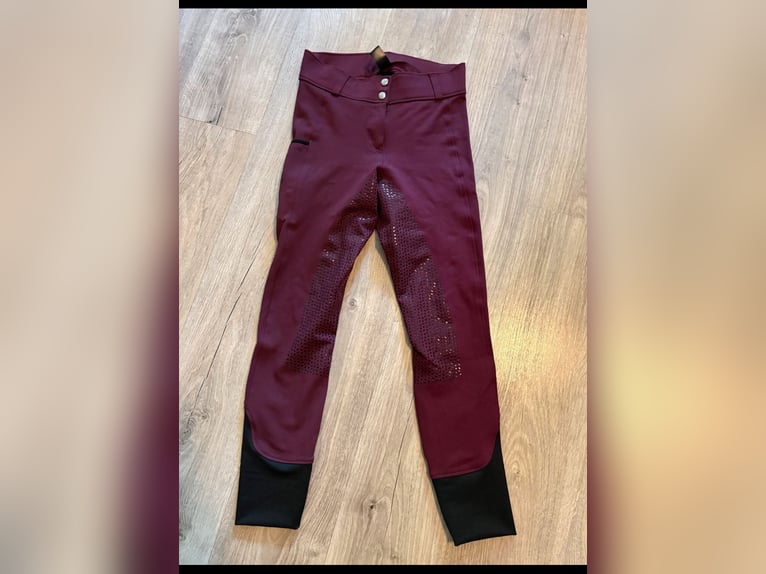 Grip- Reithose Gr. 36 Equilibra