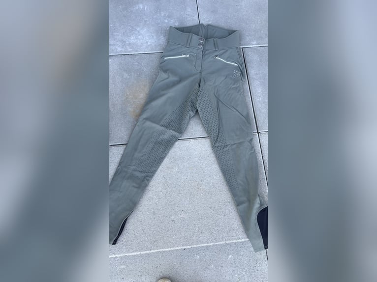 Grüne Hochbund -Reithose 