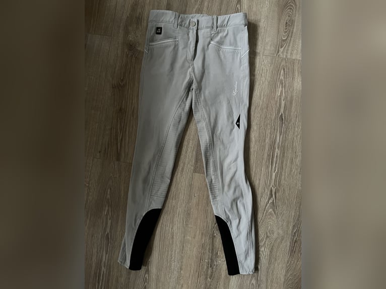 Hellgraue Reithose von Equiline