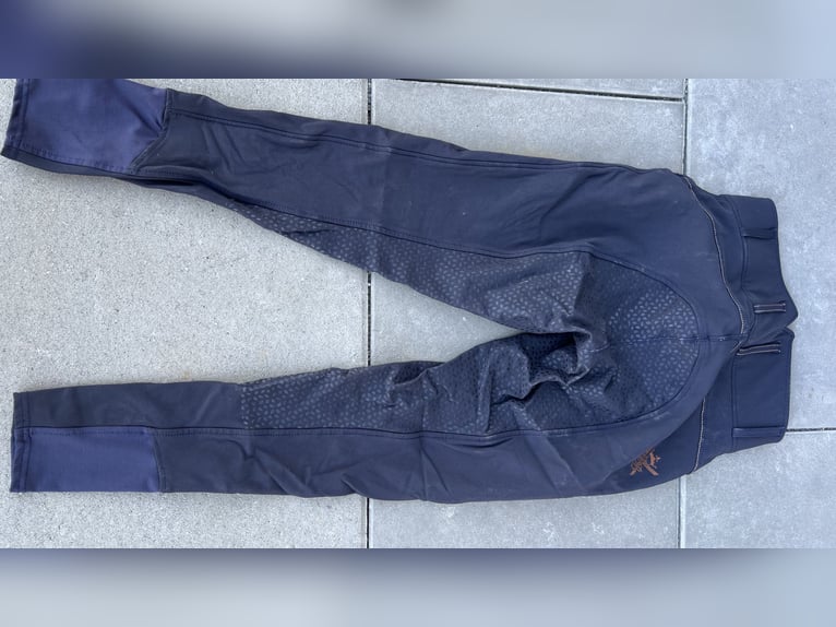 Hochbund Vollbesatz Reithose