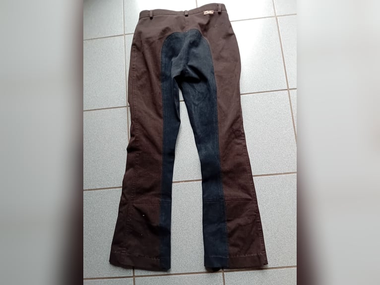 Jodpur Reithose  mit Vollbesatz Größe 19