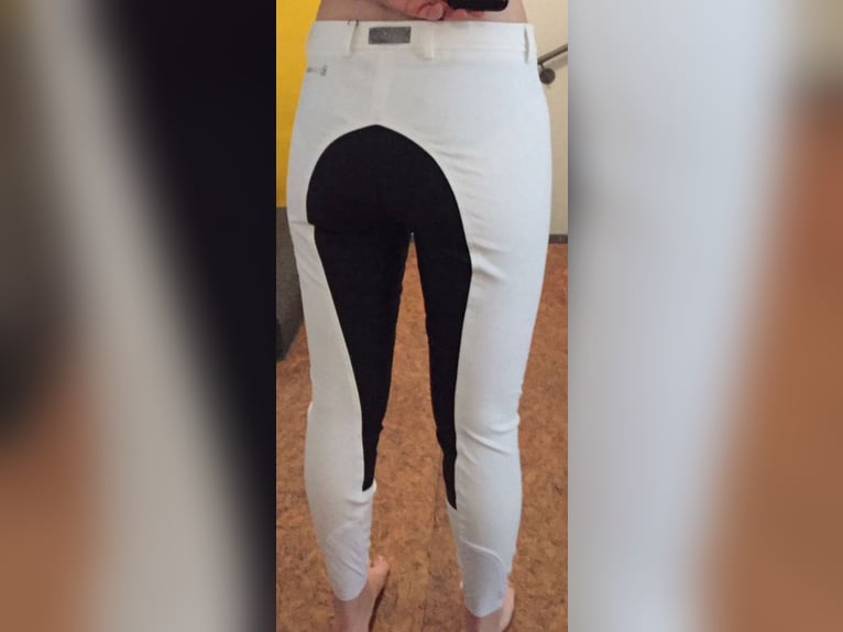 NEU Cavallo 40 Reithose Turnier weiß neu 38 Vollleder