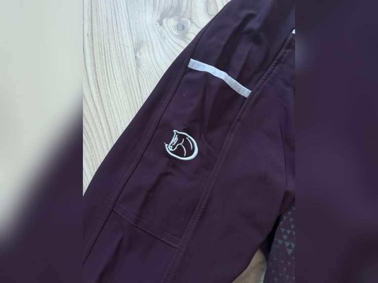 Neue Reithose 