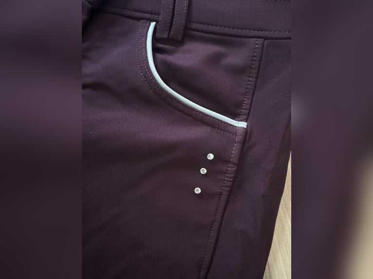 Neue Reithose 