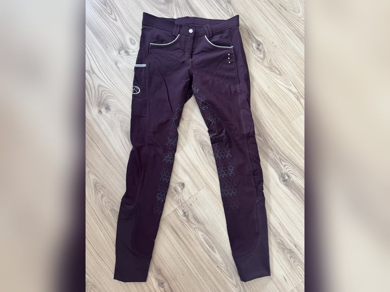 Neue Reithose 