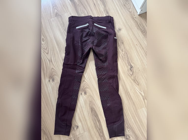 Neue Reithose 