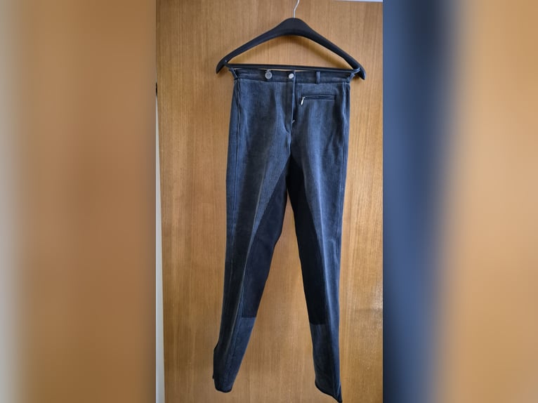 Pikeur Cord Volllederreithose gr 36