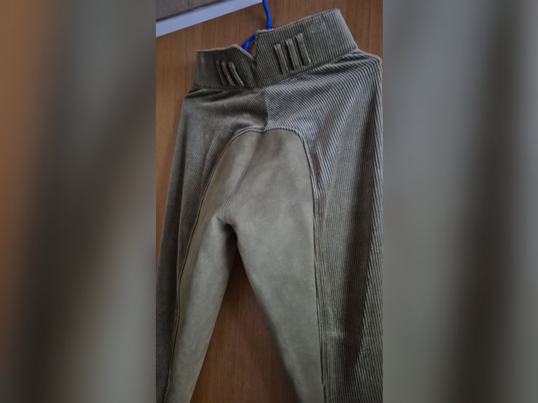 Pikeur Hochbundreithose Cord gr. 36