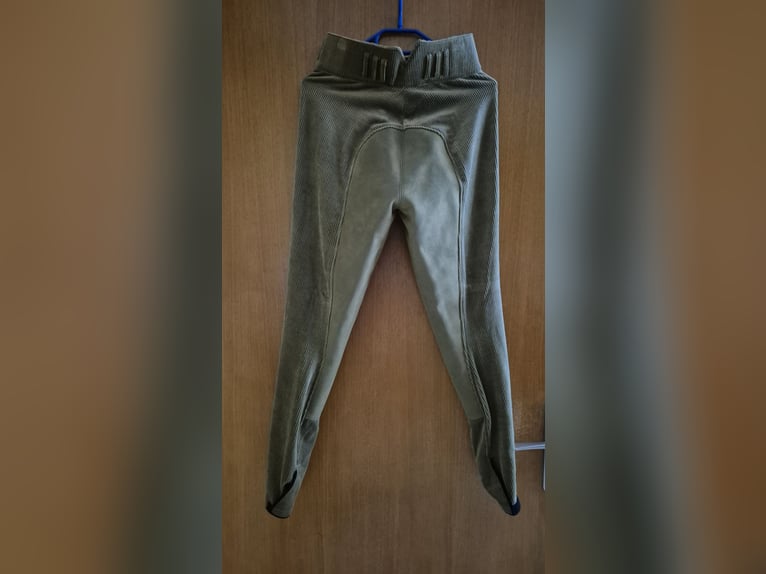 Pikeur Hochbundreithose Cord gr. 36