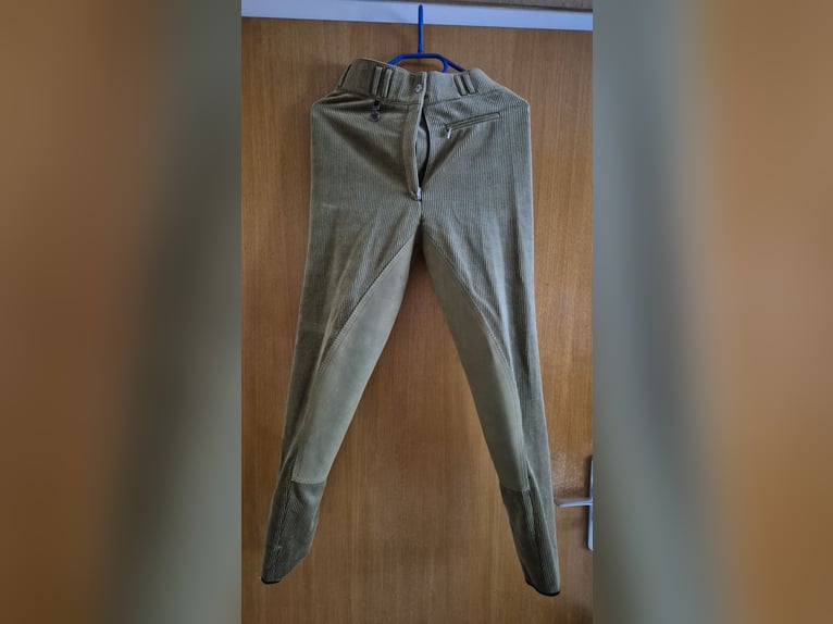 Pikeur Hochbundreithose Cord gr. 36