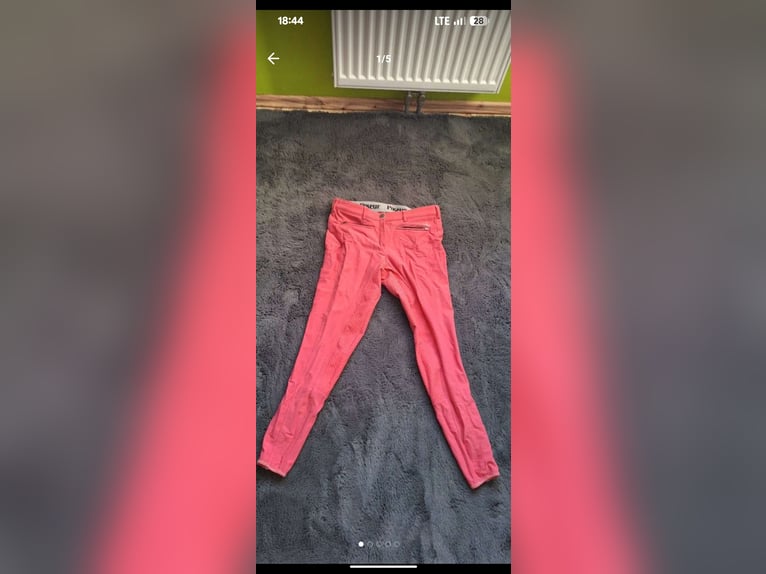 Pikeur Reithose Gr. 40