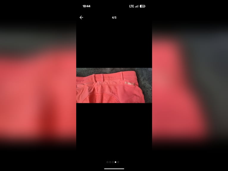 Pikeur Reithose Gr. 40