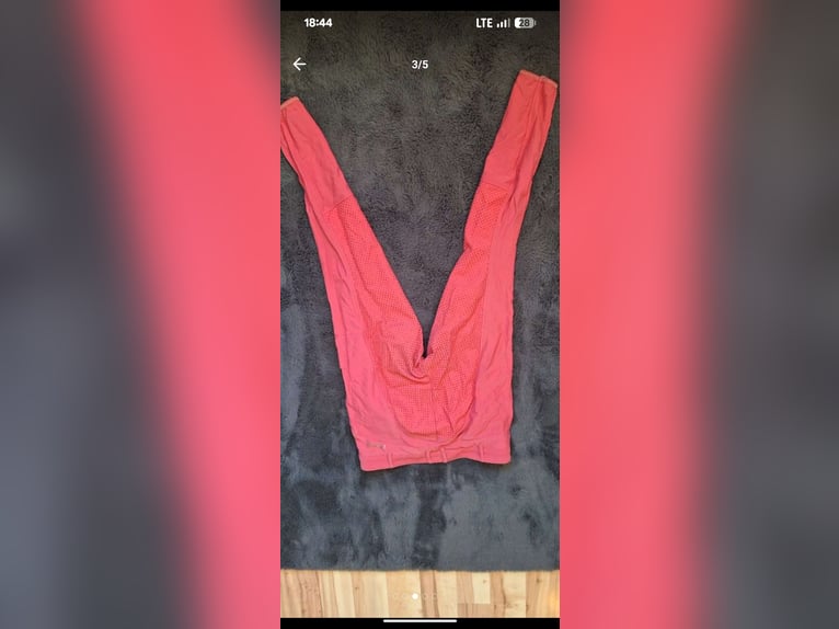 Pikeur Reithose Gr. 40