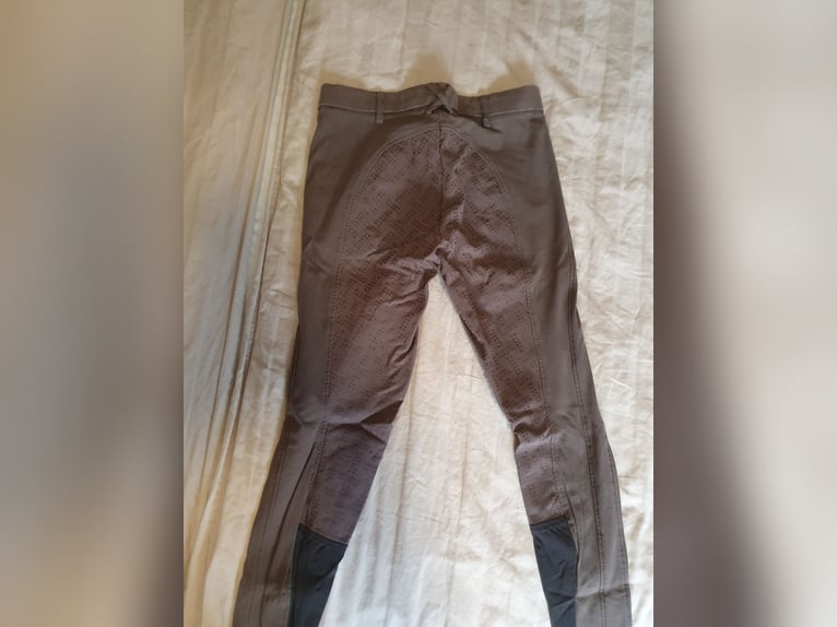 Pikeur Reithose  Swetch Jeans