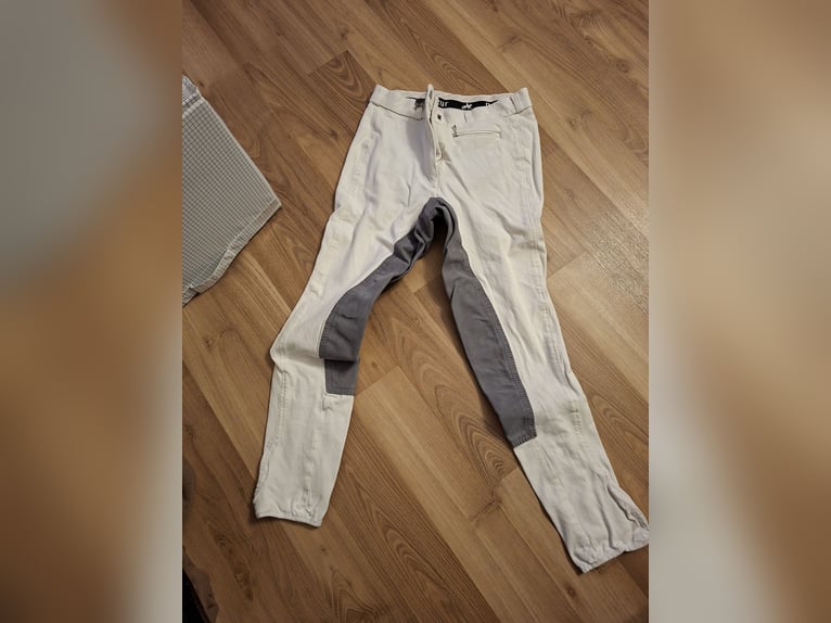 Pikeur Reithose Vollbesatz