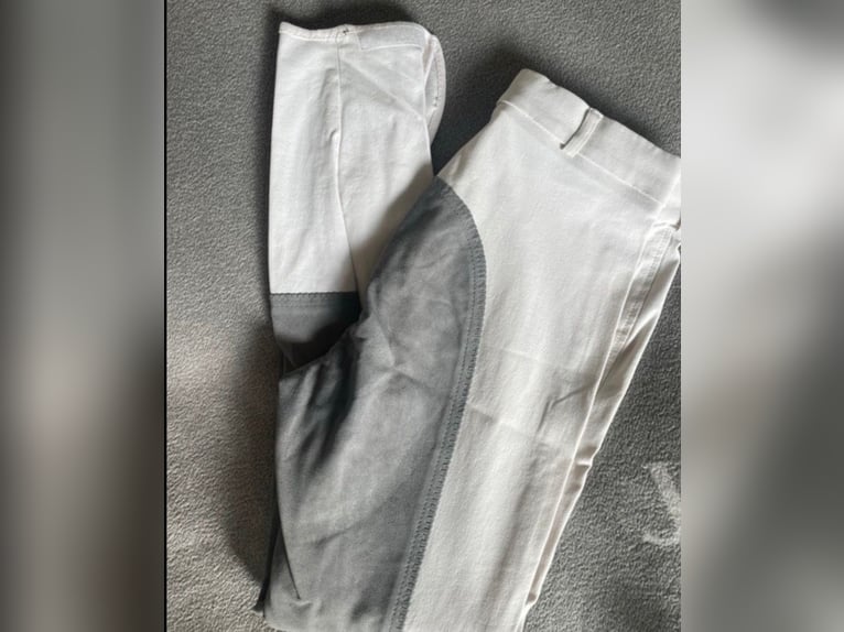 Pikeur Turnierreithose