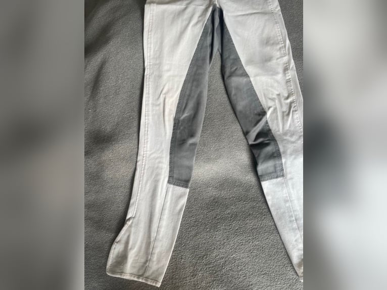 Pikeur Turnierreithose