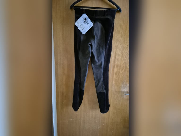 Pikeur Volllederreithose Cord
