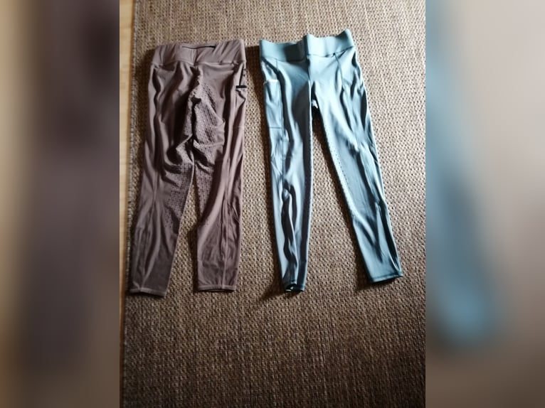 Reit-Leggins