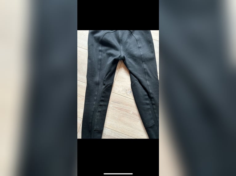 Reithose Blau M 