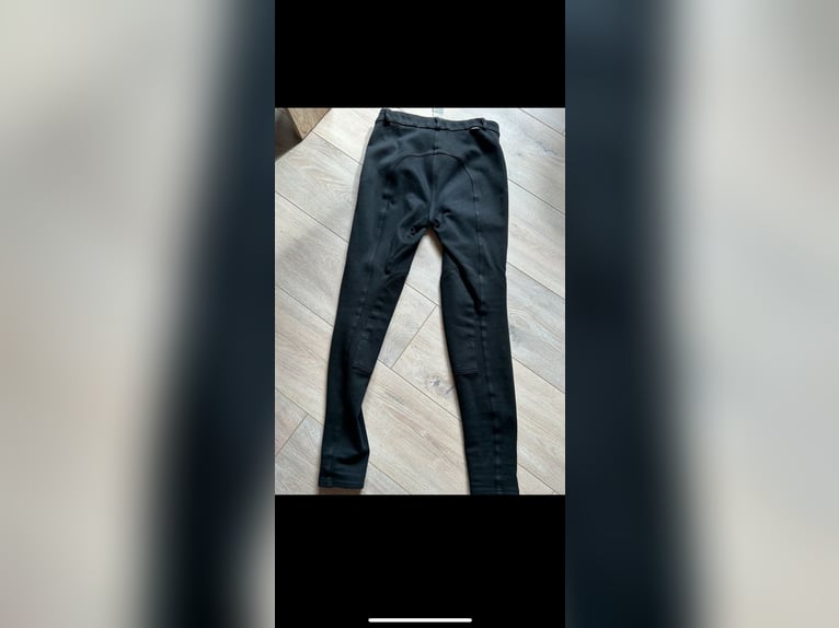 Reithose Blau M 