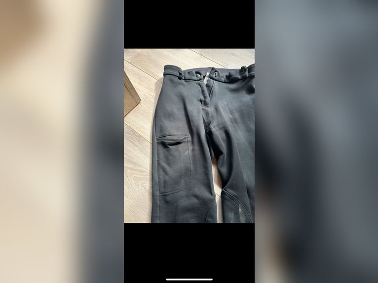 Reithose Blau M 
