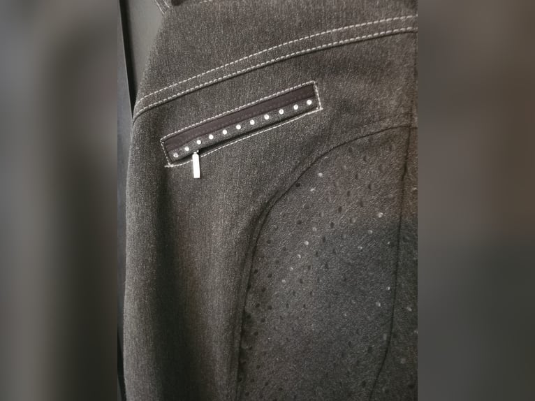 Reithose grau strass 36