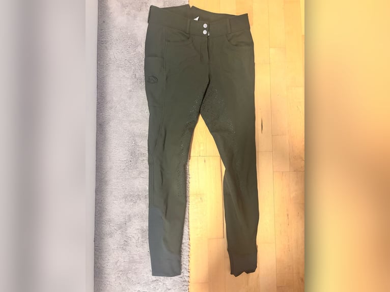 Reithose grün Reithose grün