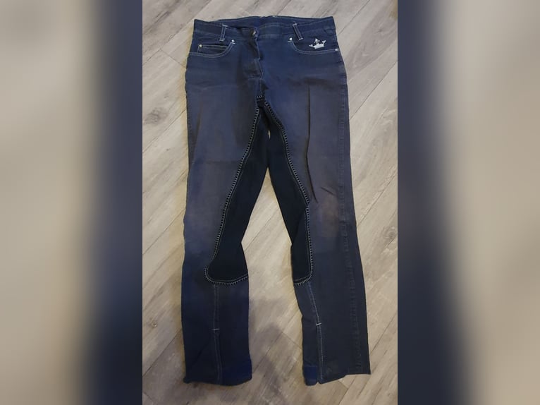Reithose jeansoptik Equilibe Größe 38