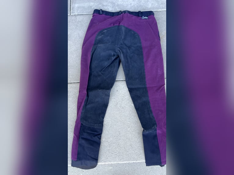 Reithose