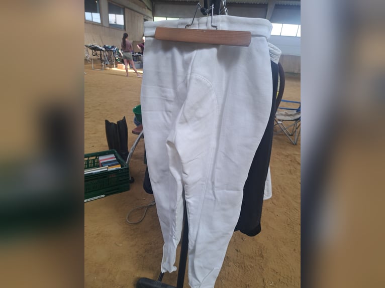 Reithose Pikeur