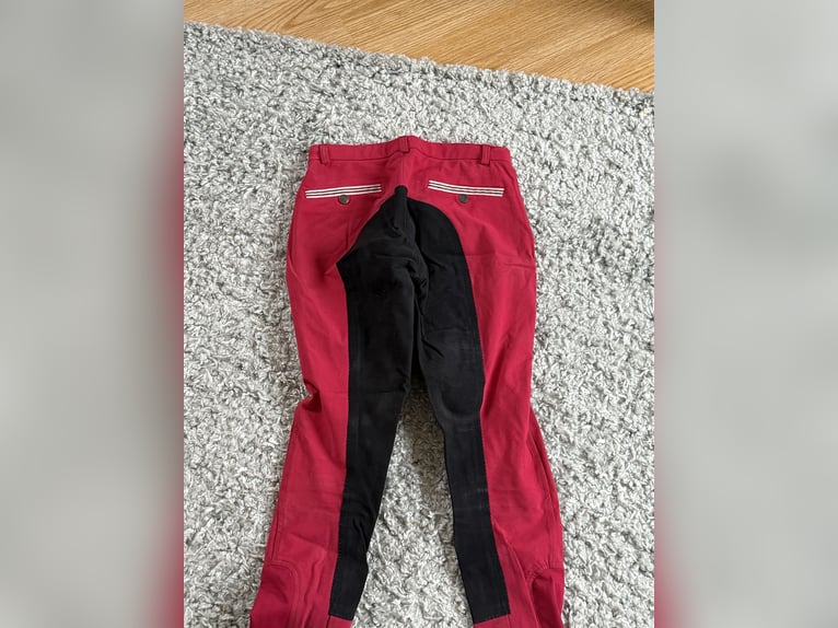 Reithose rot