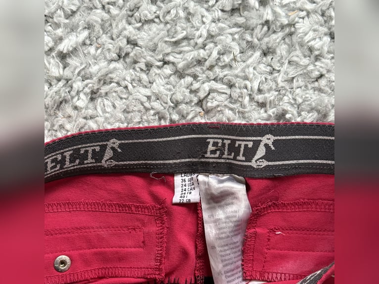 Reithose rot
