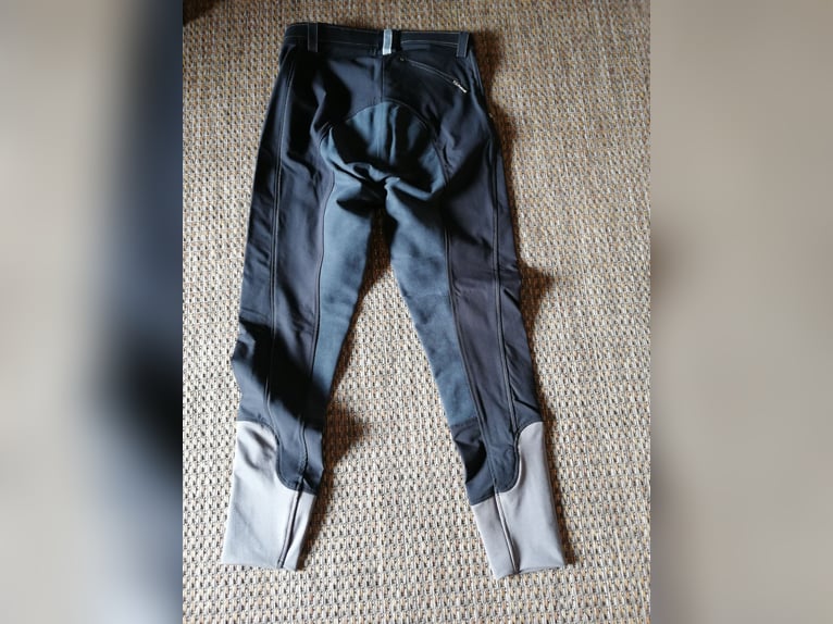 Reithose-Vollbesatz
