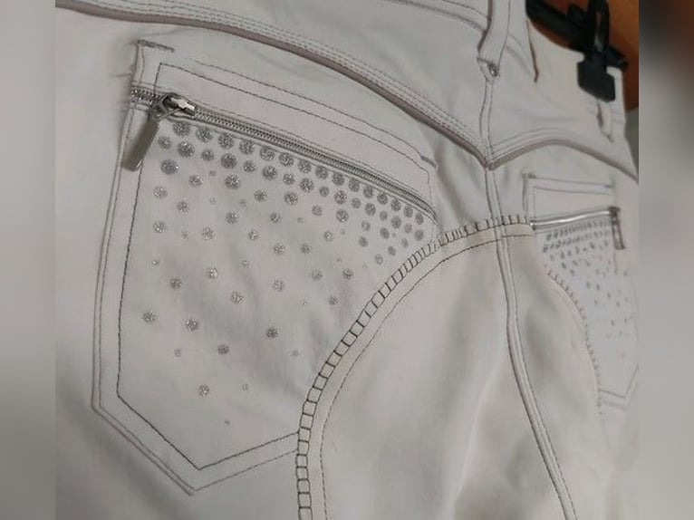  Reithose weiss mit Glitzer Gr. 42 - Equestrian Equipment