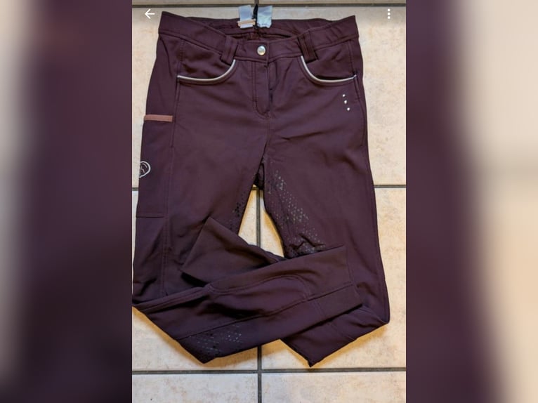 Reithosen von ridersdeal und covalliero 