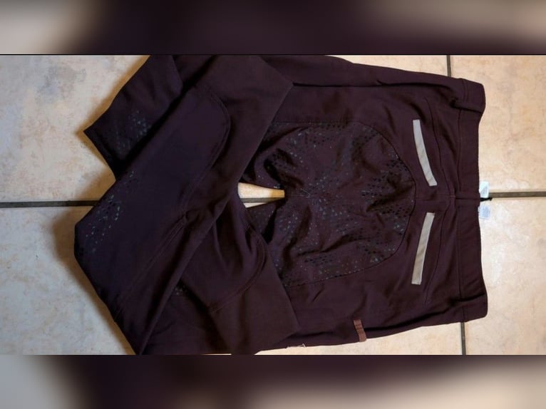 Reithosen von ridersdeal und covalliero 