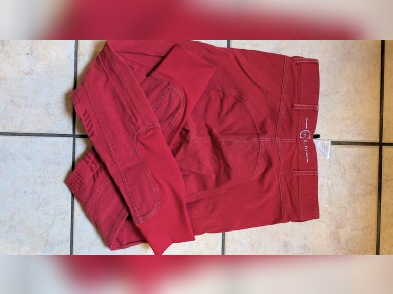 Reithosen von ridersdeal und covalliero 