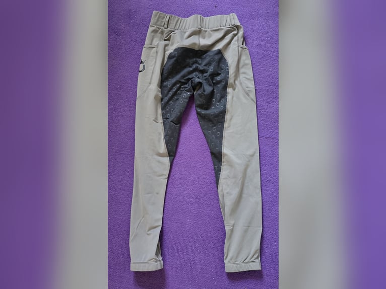 Reitleggings Vollbesatz Royal Horseman grau
