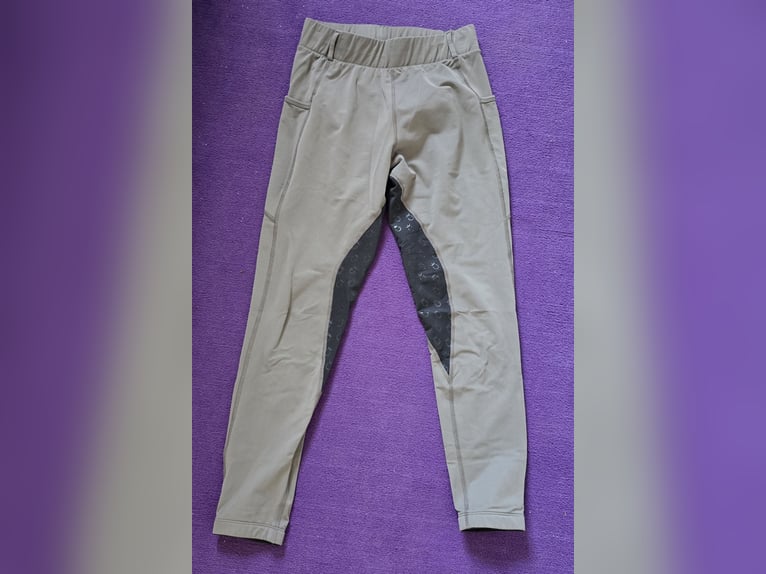 Reitleggings Vollbesatz Royal Horseman grau