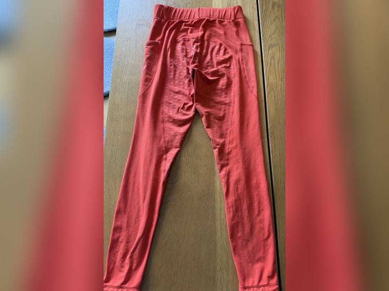 RH Reitleggins „RedOrange“ (Größe M) 