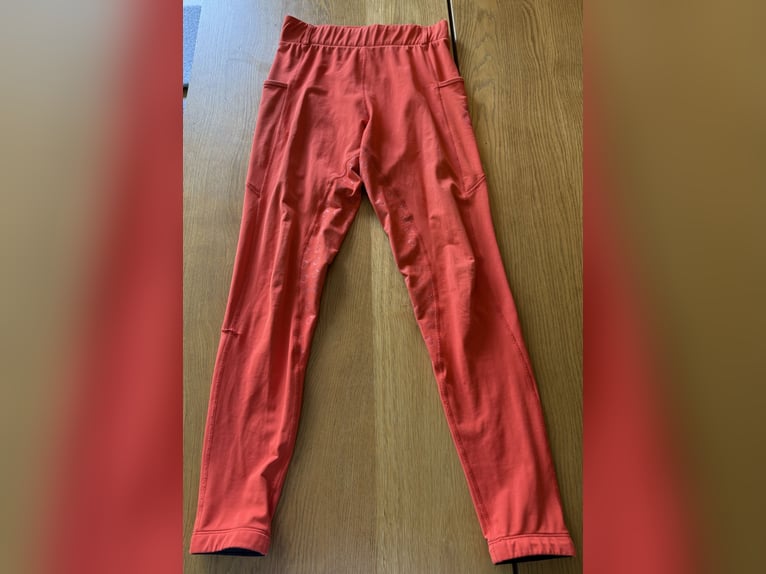 RH Reitleggins „RedOrange“ (Größe M) 