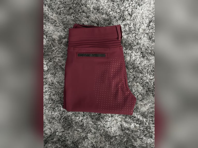 Samshield Reithose Dunkelrot De38 Fr36 