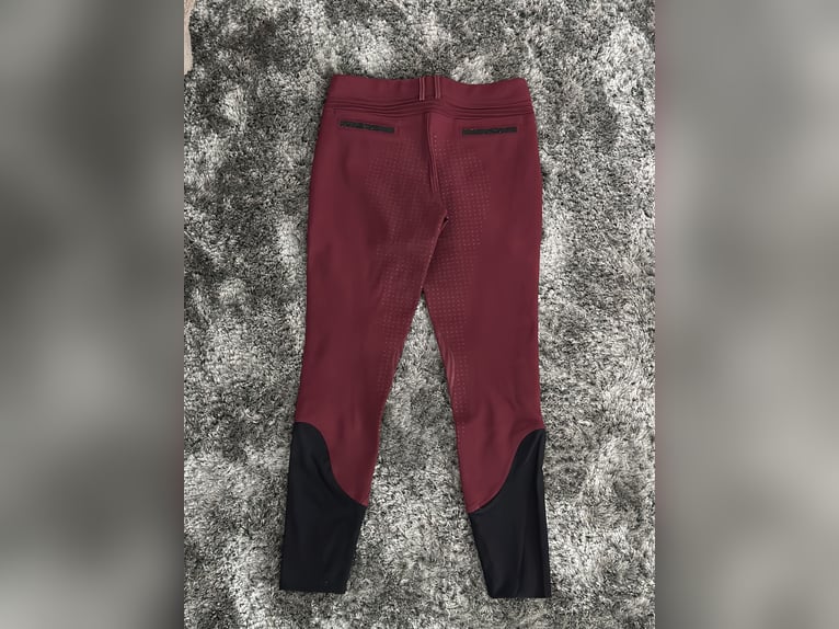 Samshield Reithose Dunkelrot De38 Fr36 