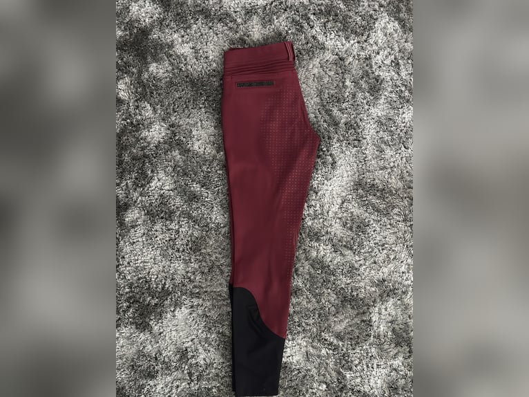 Samshield Reithose Dunkelrot De38 Fr36 