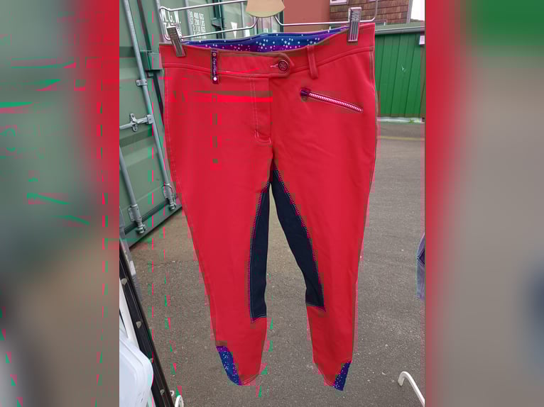 Schicke rote Reithose mit blauem Besatz 